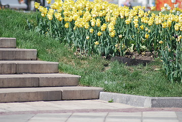 Image showing staircase and flowerbed in a park at the spring 