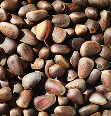 Image showing Pine nuts background, brown natural texture