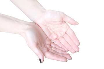 Image showing Empty open woman's hands isolated on white