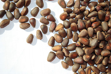 Image showing pine nuts on white, not peeled 