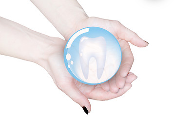 Image showing hands holding tooth in glass sphere, dentistry  