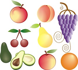 Image showing fruits vector set