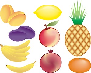 Image showing fruits vector set