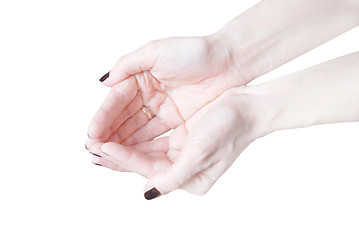 Image showing Empty open woman's hands isolated on white