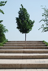 Image showing stairs to a wood  
