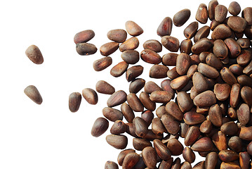 Image showing pine nuts on white, not peeled 