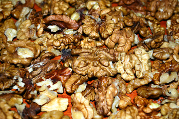 Image showing hazelnut  background and texture 