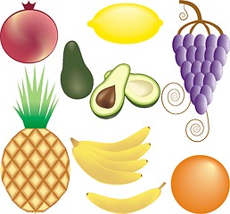 Image showing fruits vector set