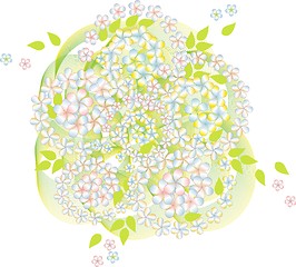 Image showing abstract spring background with flowers on white 