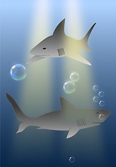 Image showing sharks in ocean  - marine predators 