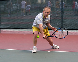 Image showing Tennis player