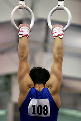 Image showing Gymnast on rings