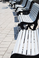 Image showing white benches in a park