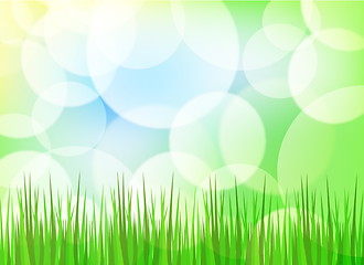 Image showing Green spring background with grass and blurry light