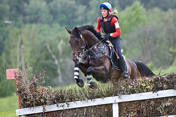 Image showing Woman eventer on horse is overcomes the fence