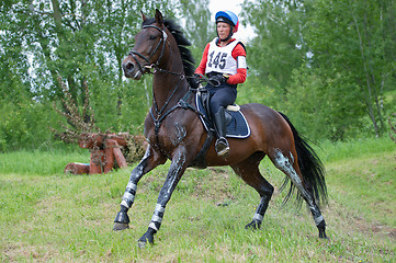 Image showing Woman eventer on horse is overcomes the Ski jump