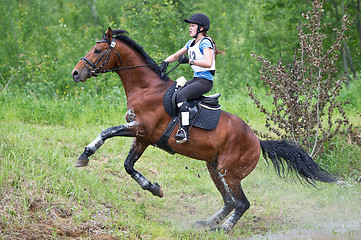 Image showing Woman eventer on horse is overcomes the Ski jump