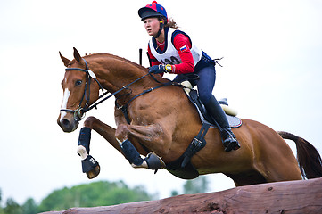 Image showing Woman eventer on horse is overcomes the Log fence