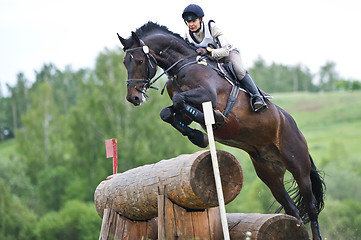 Image showing Woman eventer on horse is overcomes the Log fence