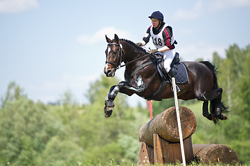 Image showing Woman eventer on horse is overcomes the Log fence