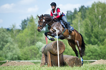 Image showing Woman eventer on horse is overcomes the Log fence