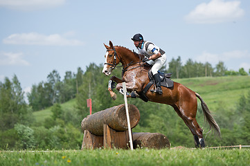 Image showing Eventer on horse is overcomes the Log fence