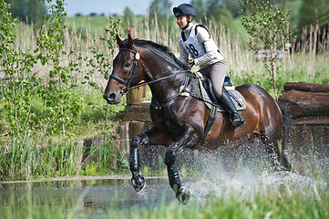 Image showing Woman eventer on horse is run in Water jump