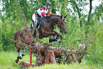 Image showing Woman eventer on horse is overcomes the fence