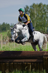 Image showing Eventer on horse is Drop fence in Water jump