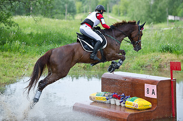 Image showing Woman eventer on horse is overcomes the fence in water