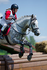 Image showing Woman eventer on horse is overcomes the Rolltop