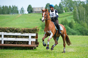 Image showing Cross-country. Unidentified rider on horse