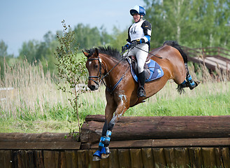 Image showing Woman eventer on horse is Drop fence in Water jump