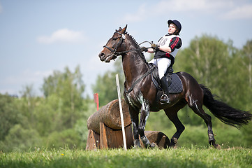 Image showing Cross-country. Disobedience (zakidka) horse