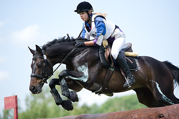 Image showing Woman eventer on horse is overcomes the Log fence