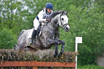 Image showing Woman eventer on horse is overcomes the fence