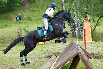 Image showing Eventer on horse is overcomes the cross-country fence