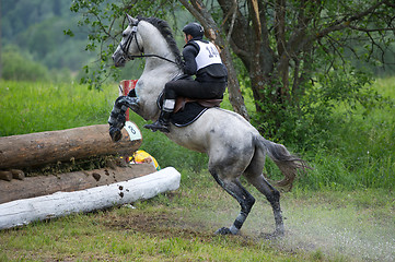 Image showing Eventer on horse is overcomes the Log fence