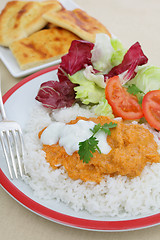 Image showing Chicken tikka masala meal vertical