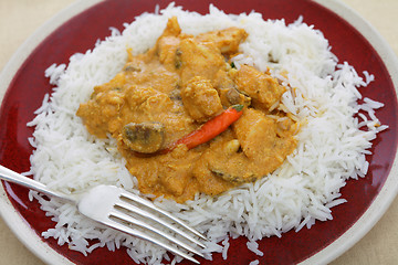 Image showing chicken cashew curry plate