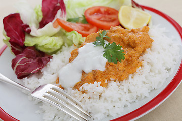 Image showing Chicken tikka masala meal