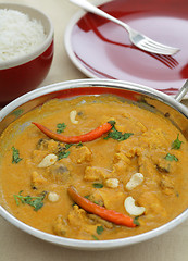 Image showing Chicken cashew curry vertical