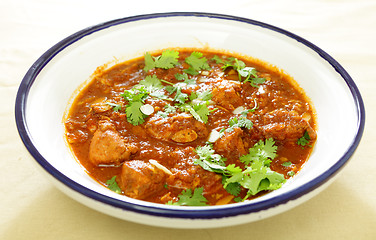 Image showing Chicken and tomato tagine stew