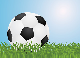 Image showing ball in a grass