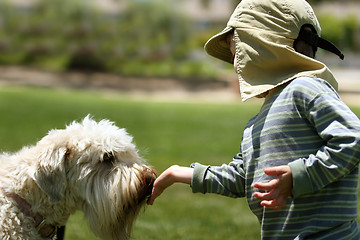Image showing Boy feeding his dog