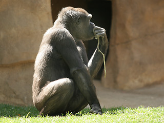 Image showing The thinker