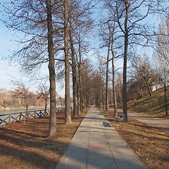 Image showing Path among trees