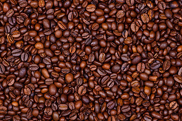 Image showing Coffee beans