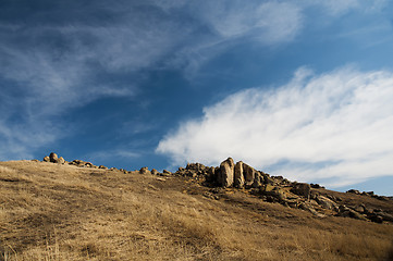 Image showing Summer landscape