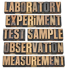 Image showing experiment, observation, test